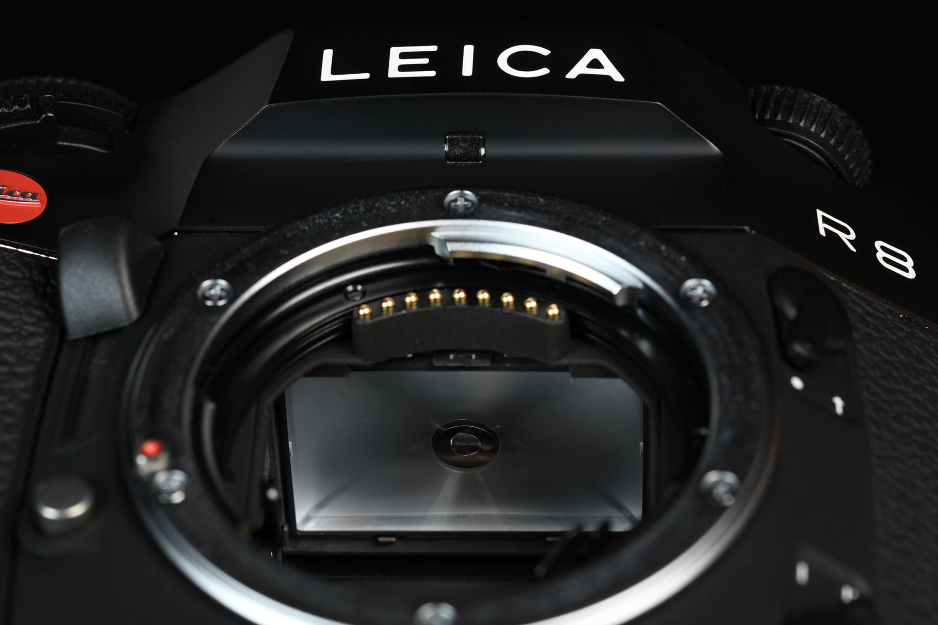 Picture of Leica R8 Black