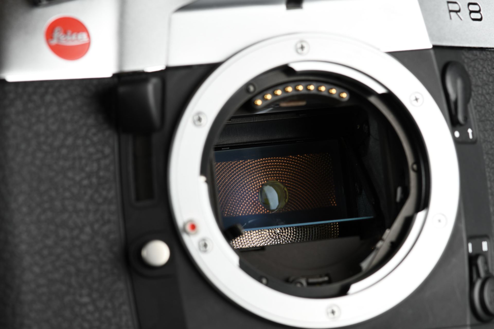 Picture of Leica R8 Silver (10080)