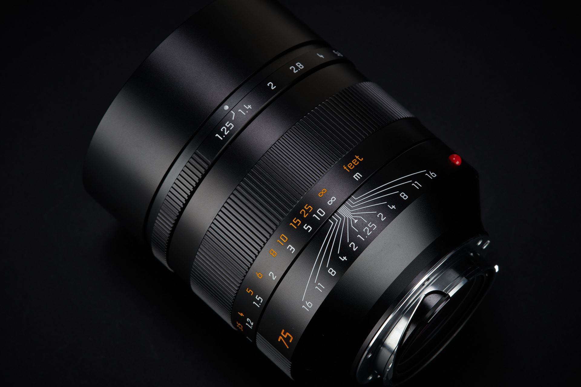 Picture of Leica Noctilux-M 75mm f/1.25 ASPH. Black Anodised